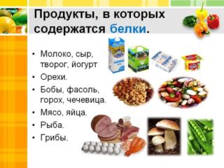 Продукты с высоким содержанием белков