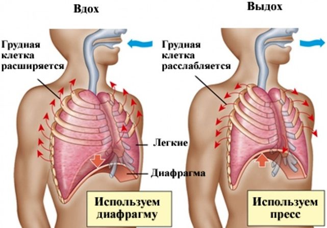 Особенности дыхания при астме