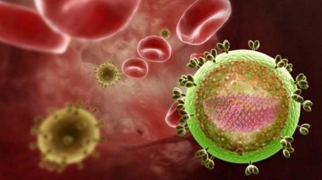 Анализ крови на ВИЧ при оофорите Сдача анализа крови на сифилис и ВИЧ при хроническом оофорите