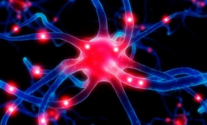 Как выглядят гормоны женских яичников