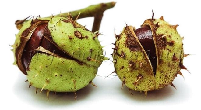 Свечи с каштаном от кисты яичника