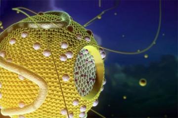 Липопротеиды