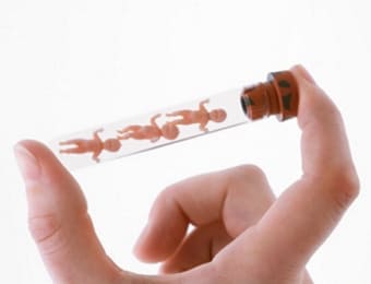 Донорские яйцеклетки при ЭКО