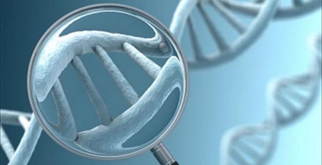 Варикоз яичника передаётся по наследству