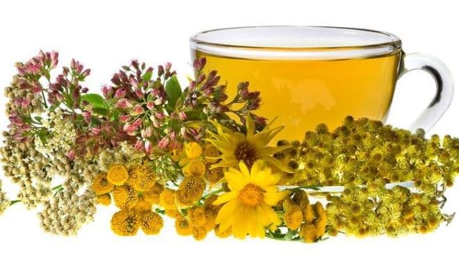 Лечение отваром ромашки при оофорите