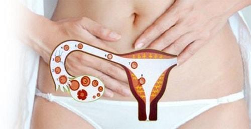 Процесс овуляции и сопровождающие её боли