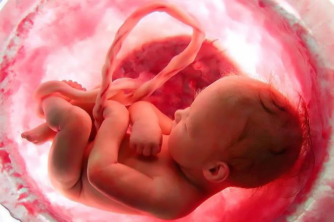 Недоразвитость половых органов у девочек в утробе