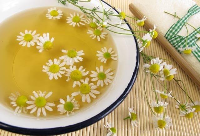 Отвары трав при воспалении яичников