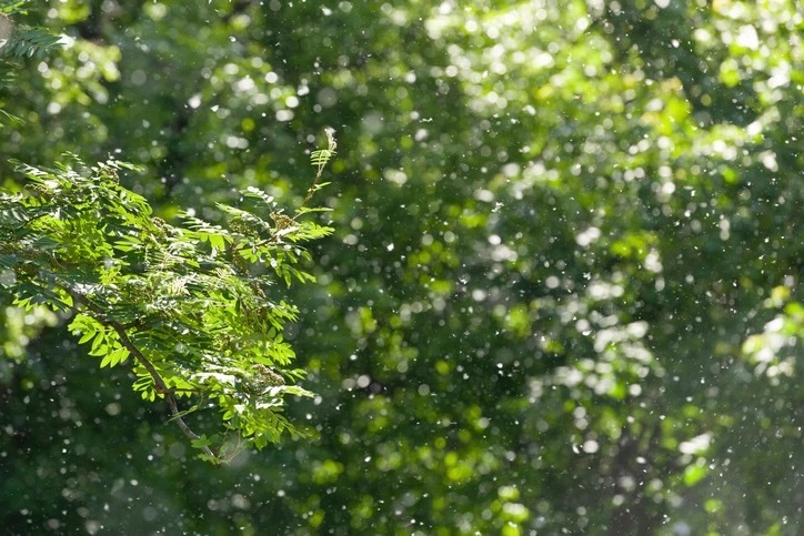 признаки аллергического конъюнктивита