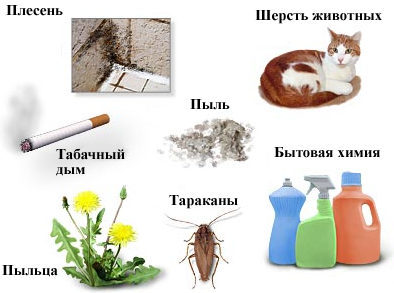 причины развития экзогенной астмы