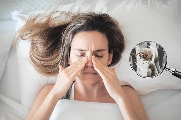 домашний пылевой клещ