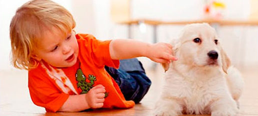 Ребенок с сабакой
