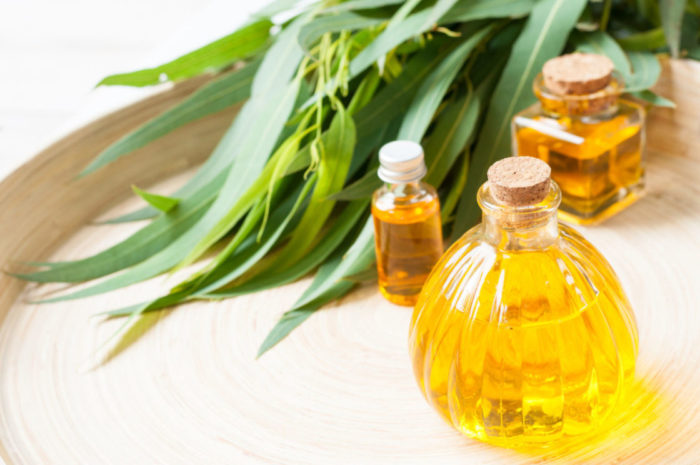 эвкалиптовое мас