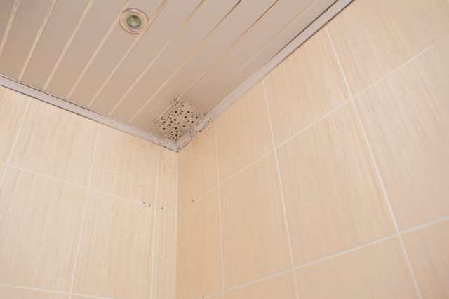 избыток влаги