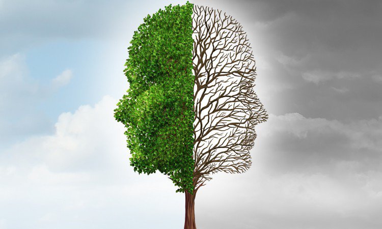 ноотропы эффекты