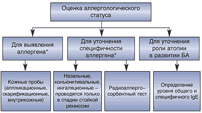 Краткая схема диагностики бронхиальной астмы